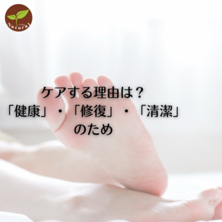 PA闝ŔH@uNvEuCvEuv̂.png