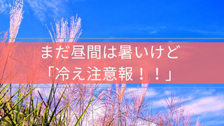 サーモン色 絵の具 秋の葉 写真 Facebookカバー.jpg